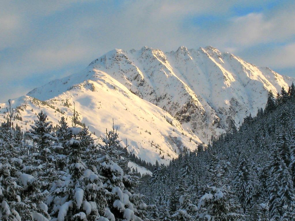 Alpen Glueck Hotel Kirchberger Hof Кірхберг Екстер'єр фото